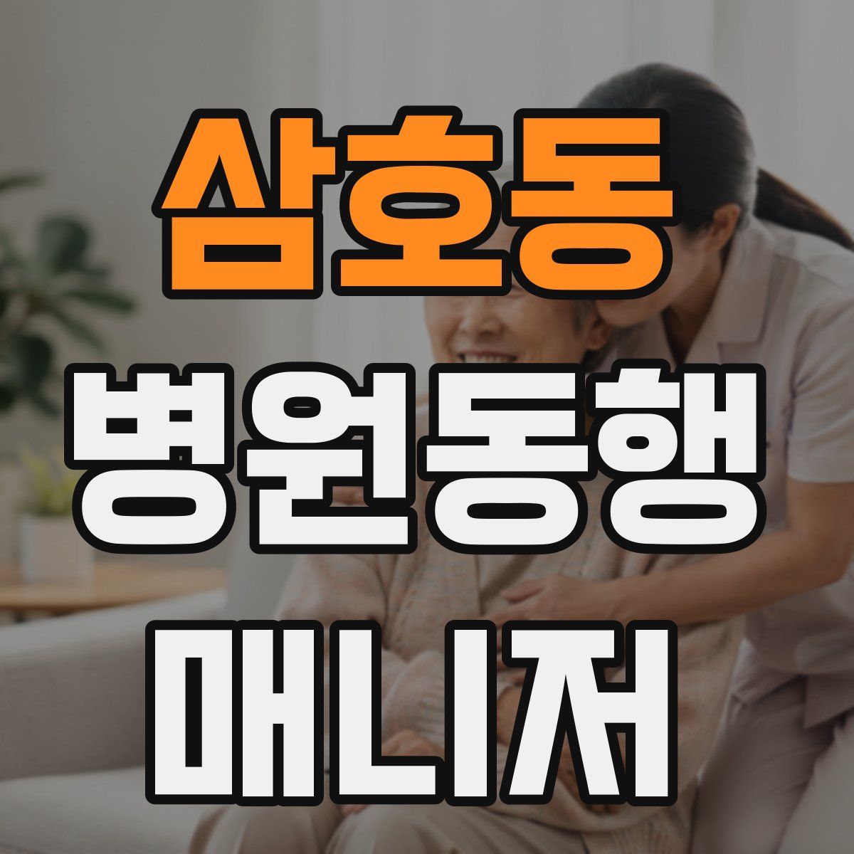 삼호동 병원동행매니저 자격증