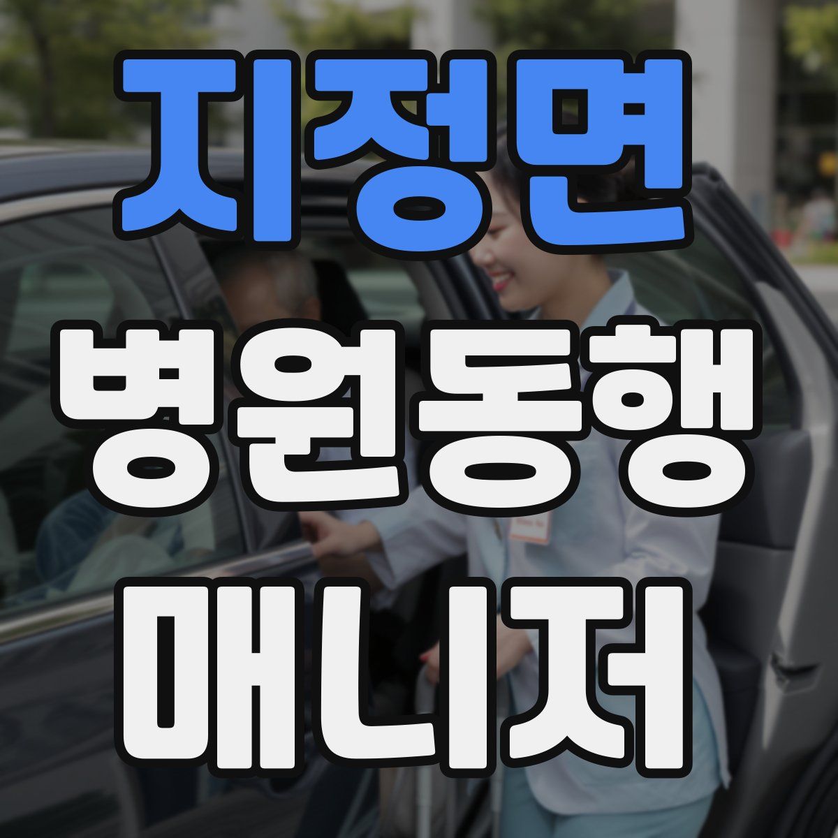 지정면 병원동행매니저 자격증