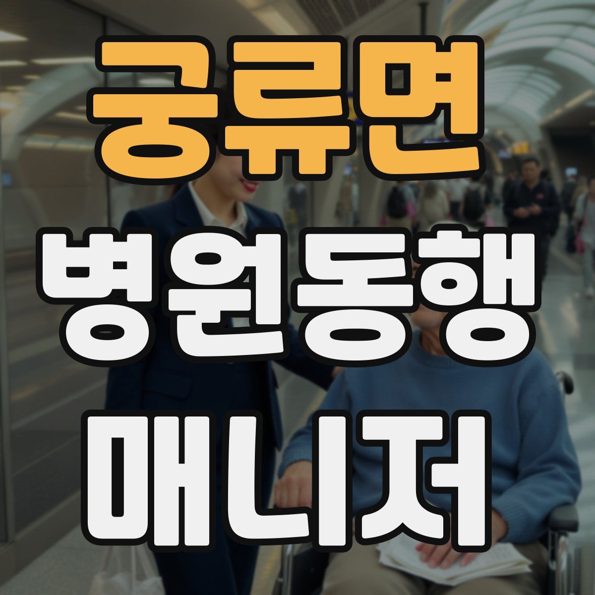 궁류면 병원동행매니저 자격증