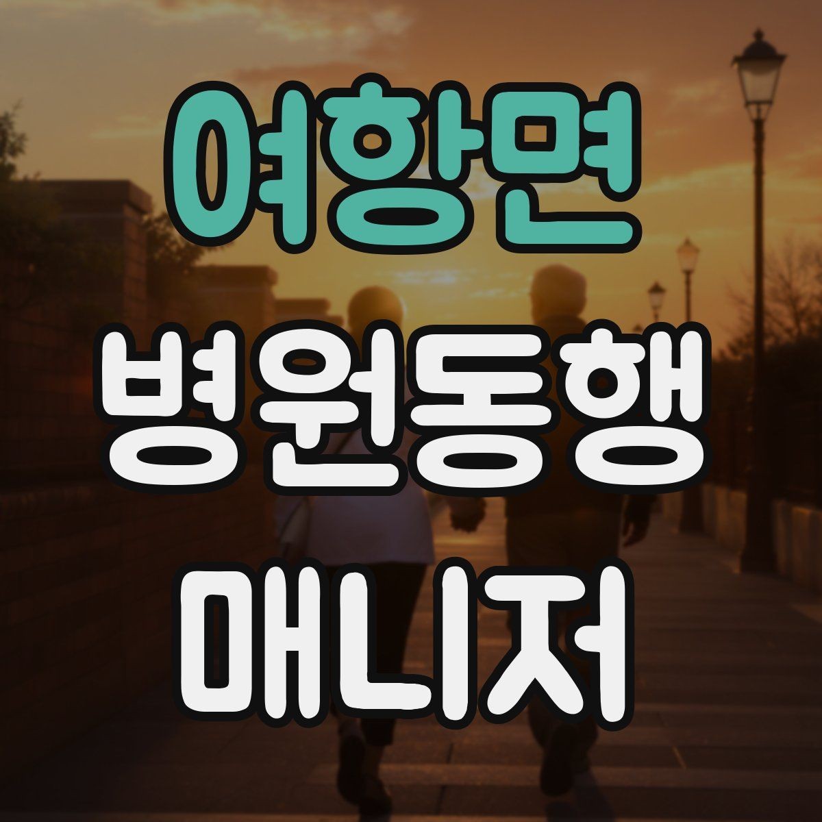 여항면 병원동행매니저 자격증 대중교통 환승이 많을 때 준비 요령