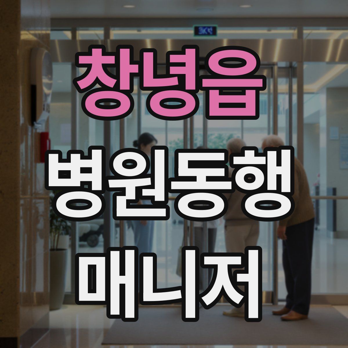 창녕읍 병원동행매니저 자격증