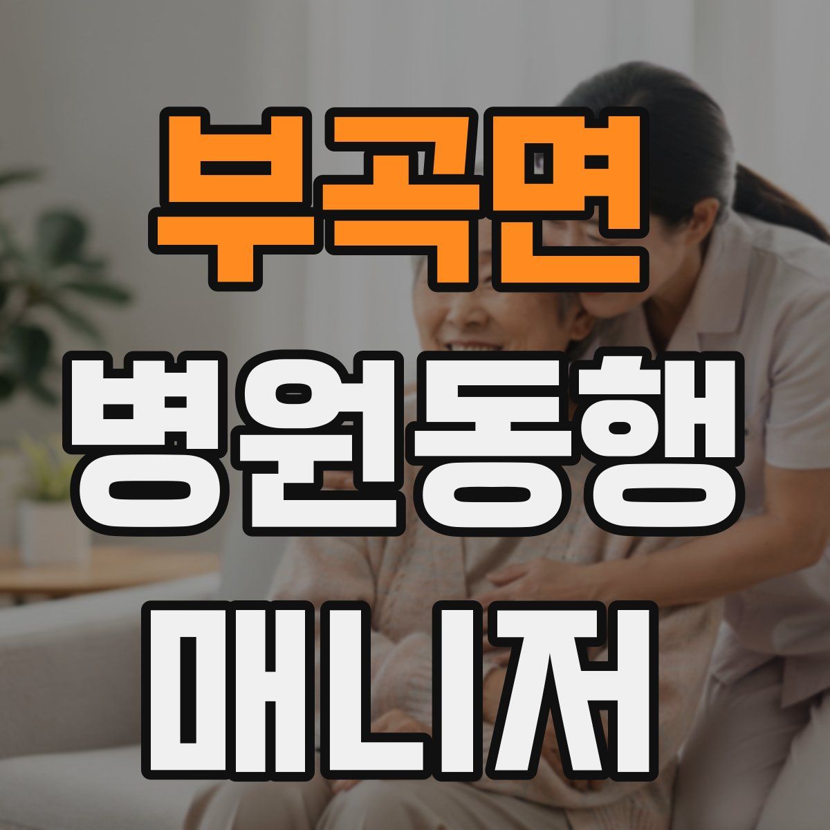 부곡면 병원동행매니저 자격증