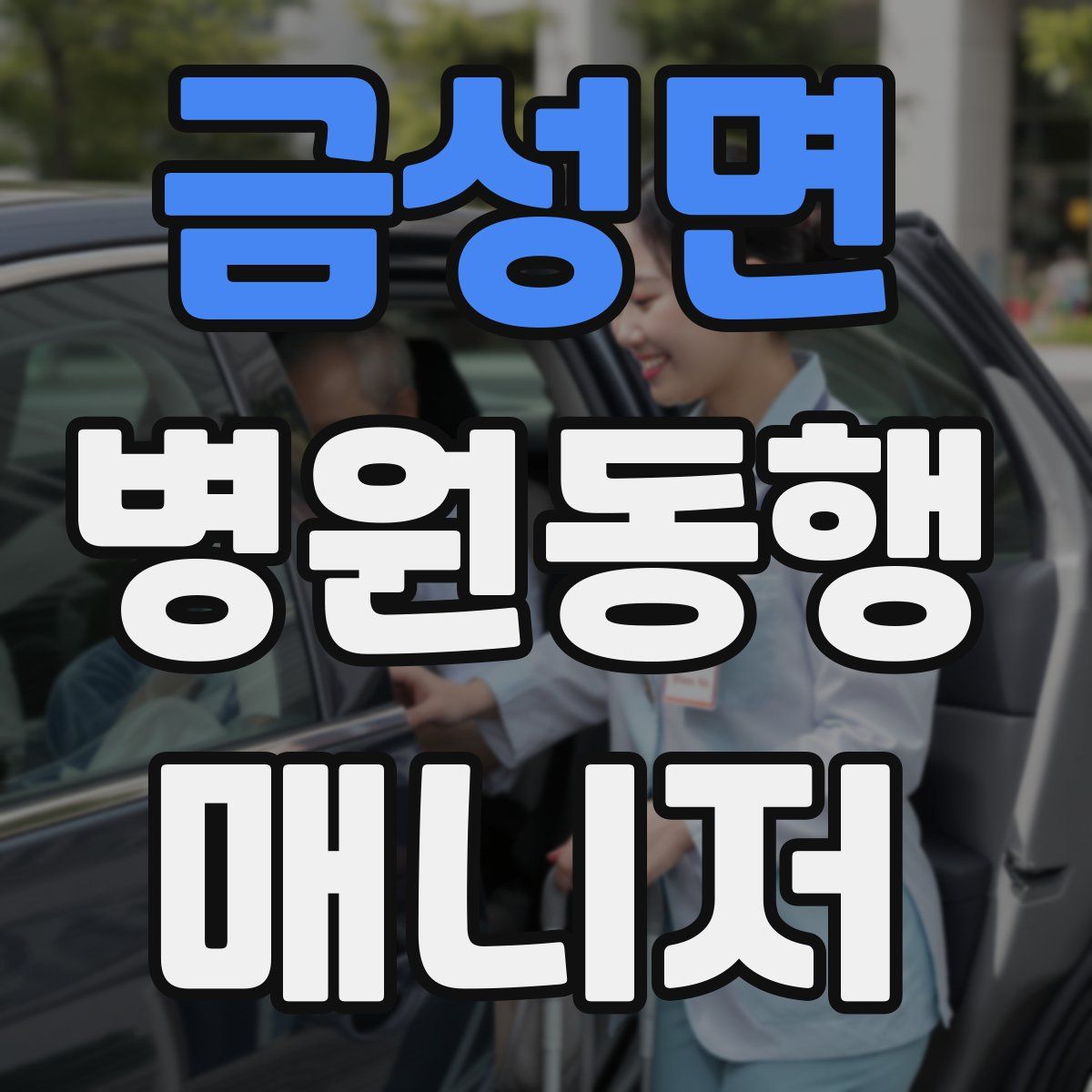 금성면 병원동행매니저 자격증