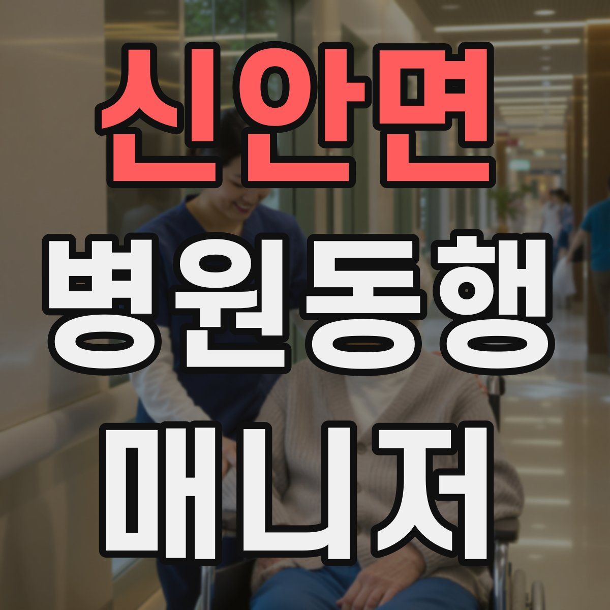 신안면 병원동행매니저 자격증