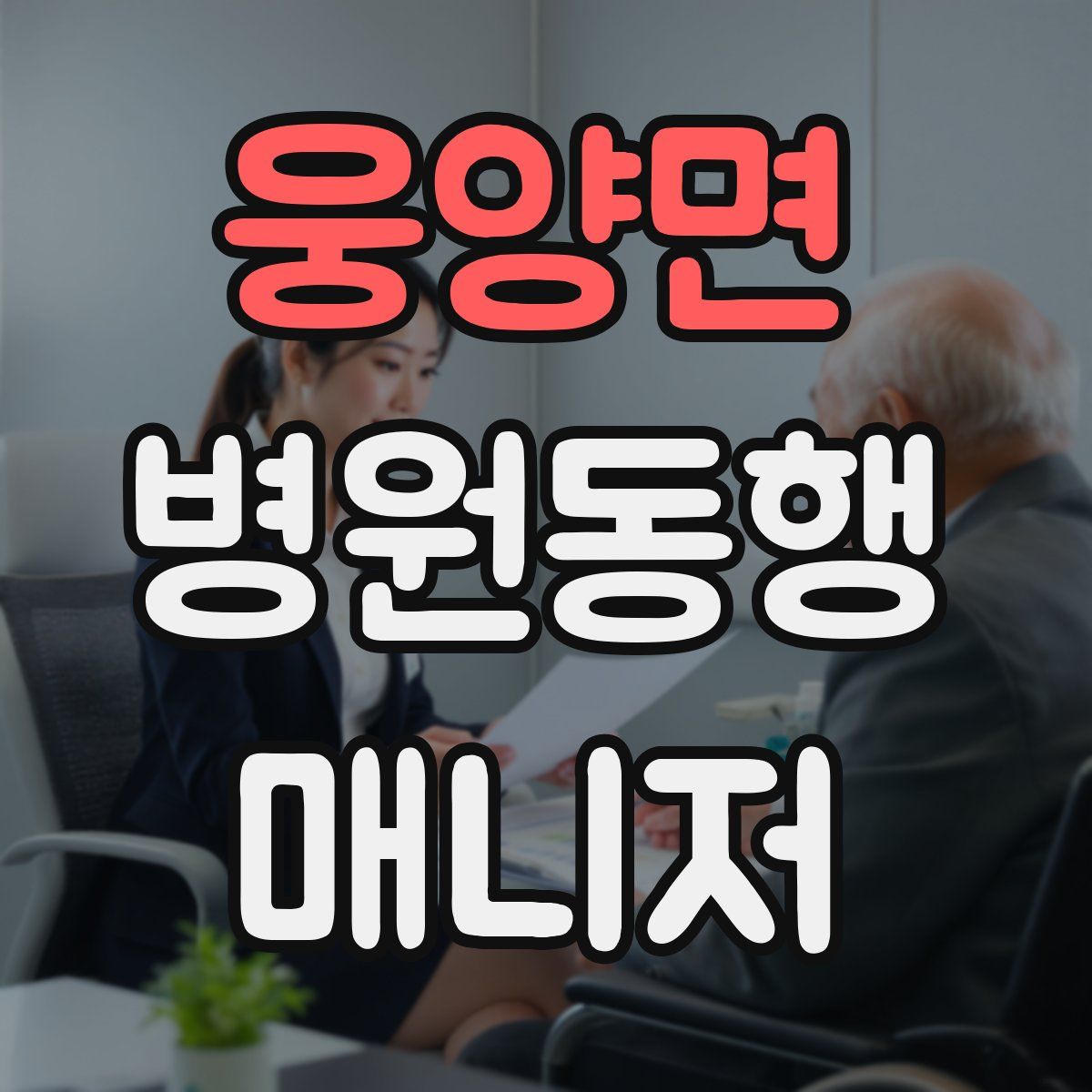 웅양면 병원동행매니저 자격증
