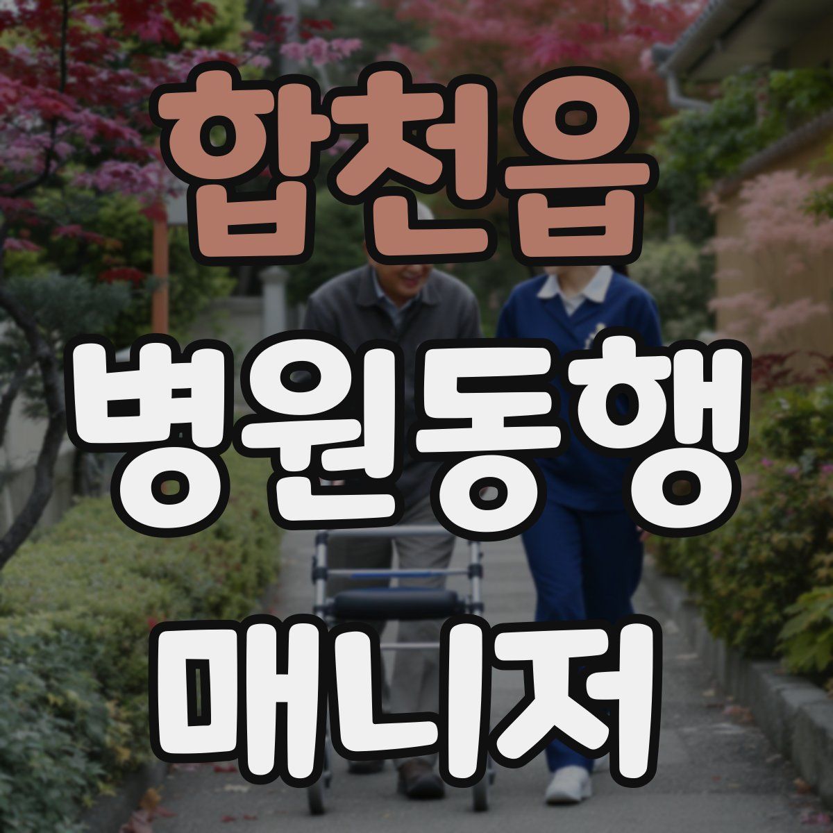 합천읍 병원동행매니저 자격증