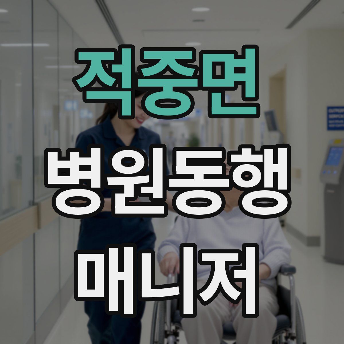 적중면 병원동행매니저 자격증