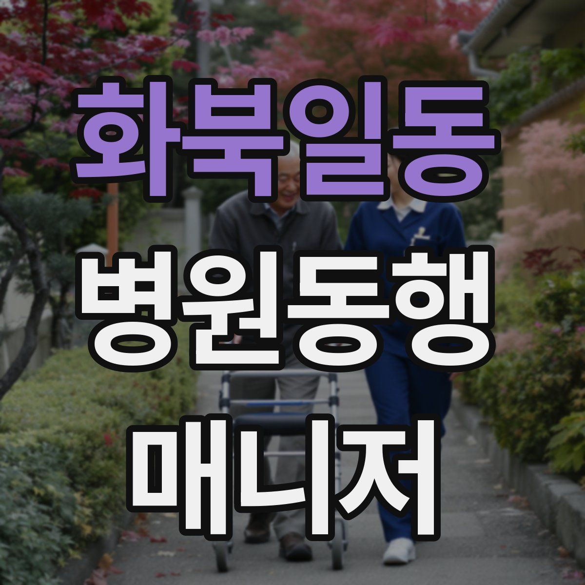 화북일동 병원동행매니저 자격증