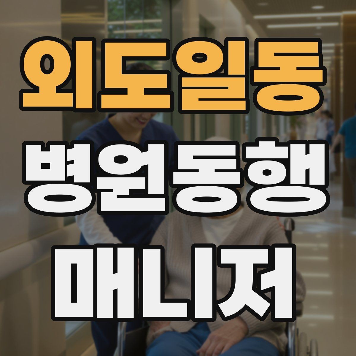 외도일동 병원동행매니저 자격증 자차 동행이 포함될 때 주의사항