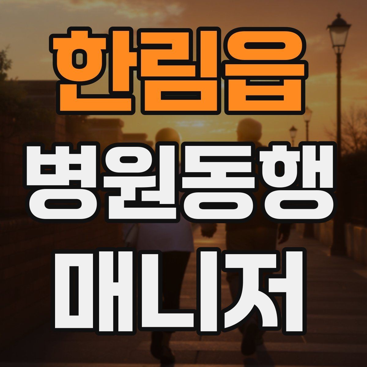 한림읍 병원동행매니저 자격증 나에게 맞는 활동 방식 찾는 방법