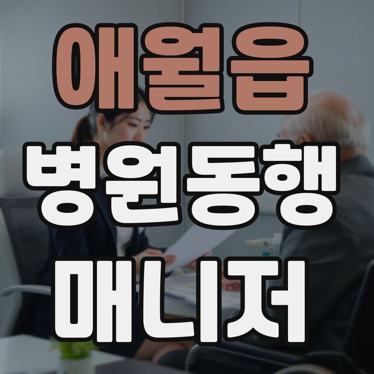 애월읍 병원동행매니저 자격증