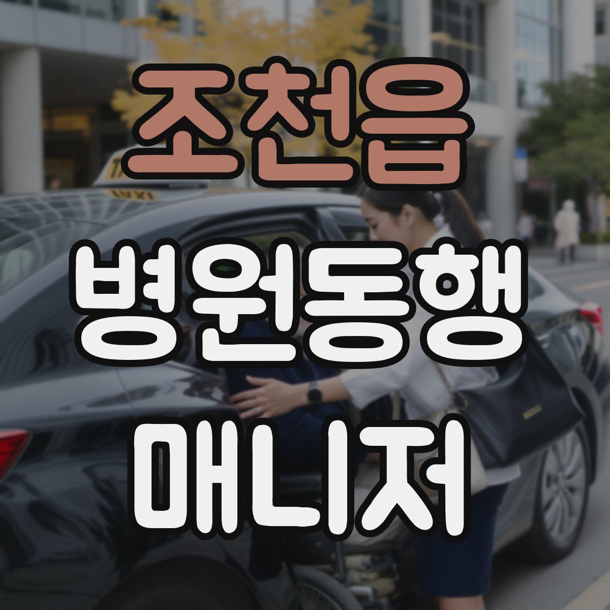 조천읍 병원동행매니저 자격증