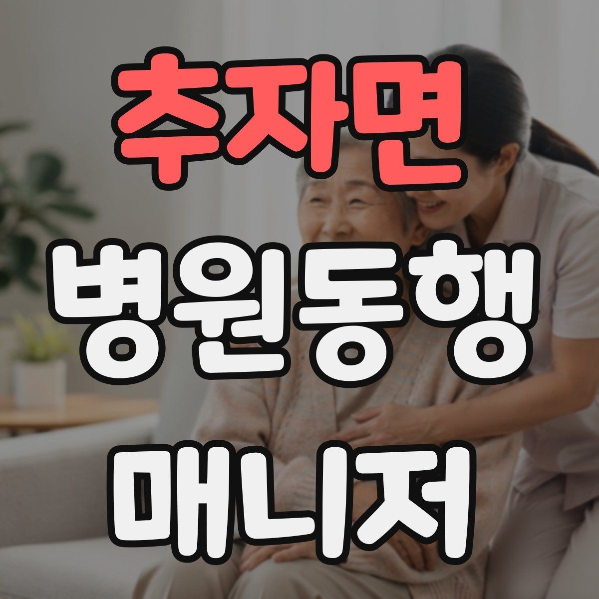 추자면 병원동행매니저 자격증 서비스 범위 문구를 깔끔히 쓰는 방법