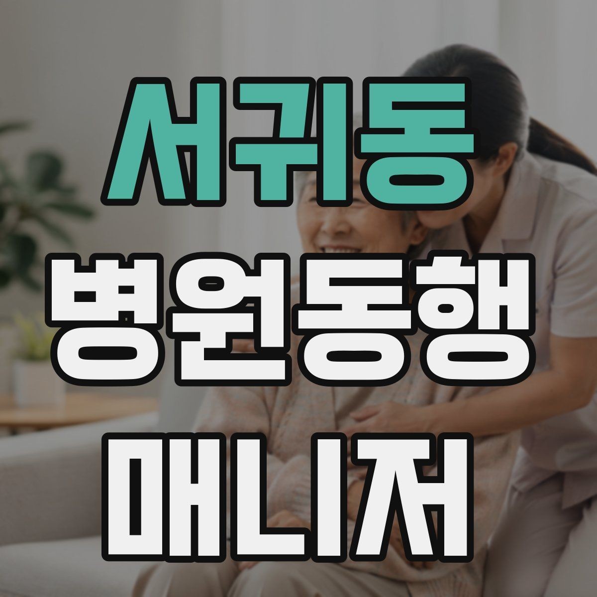서귀동 병원동행매니저 자격증 안전과 배려를 동시에 지키는 방법