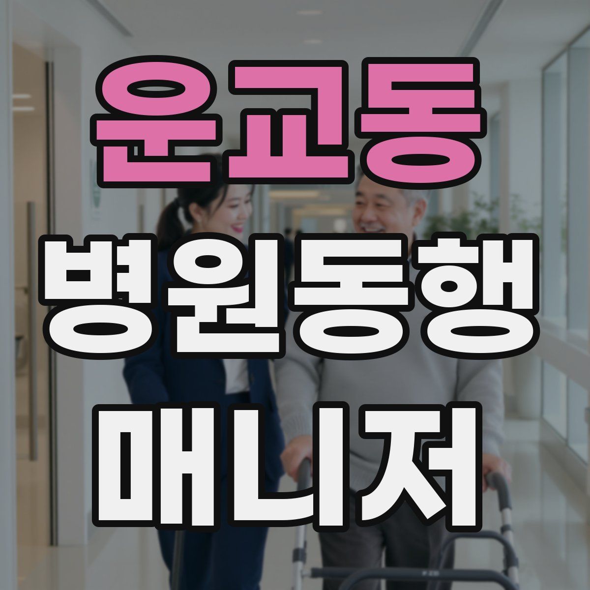 운교동 병원동행매니저 자격증