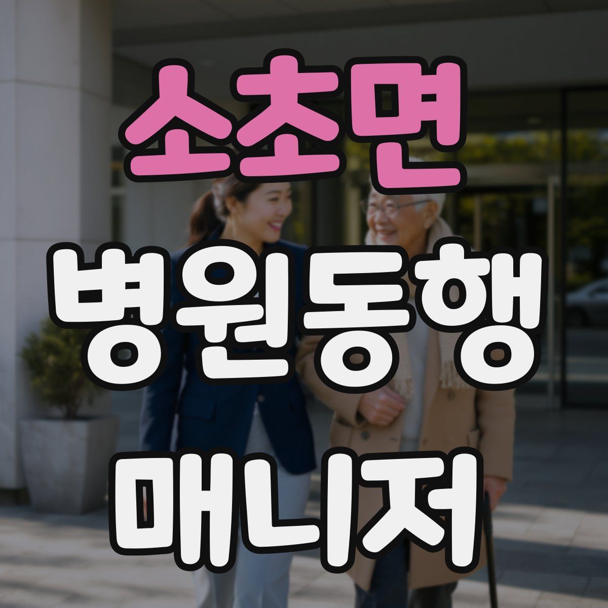 소초면 병원동행매니저 자격증