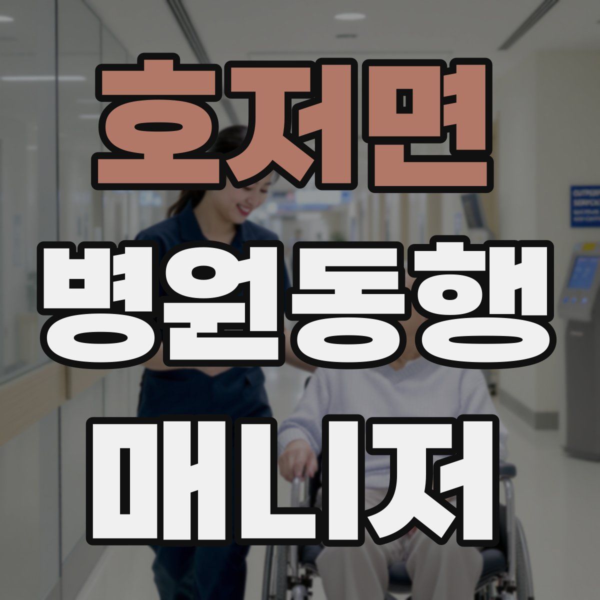 호저면 병원동행매니저 자격증