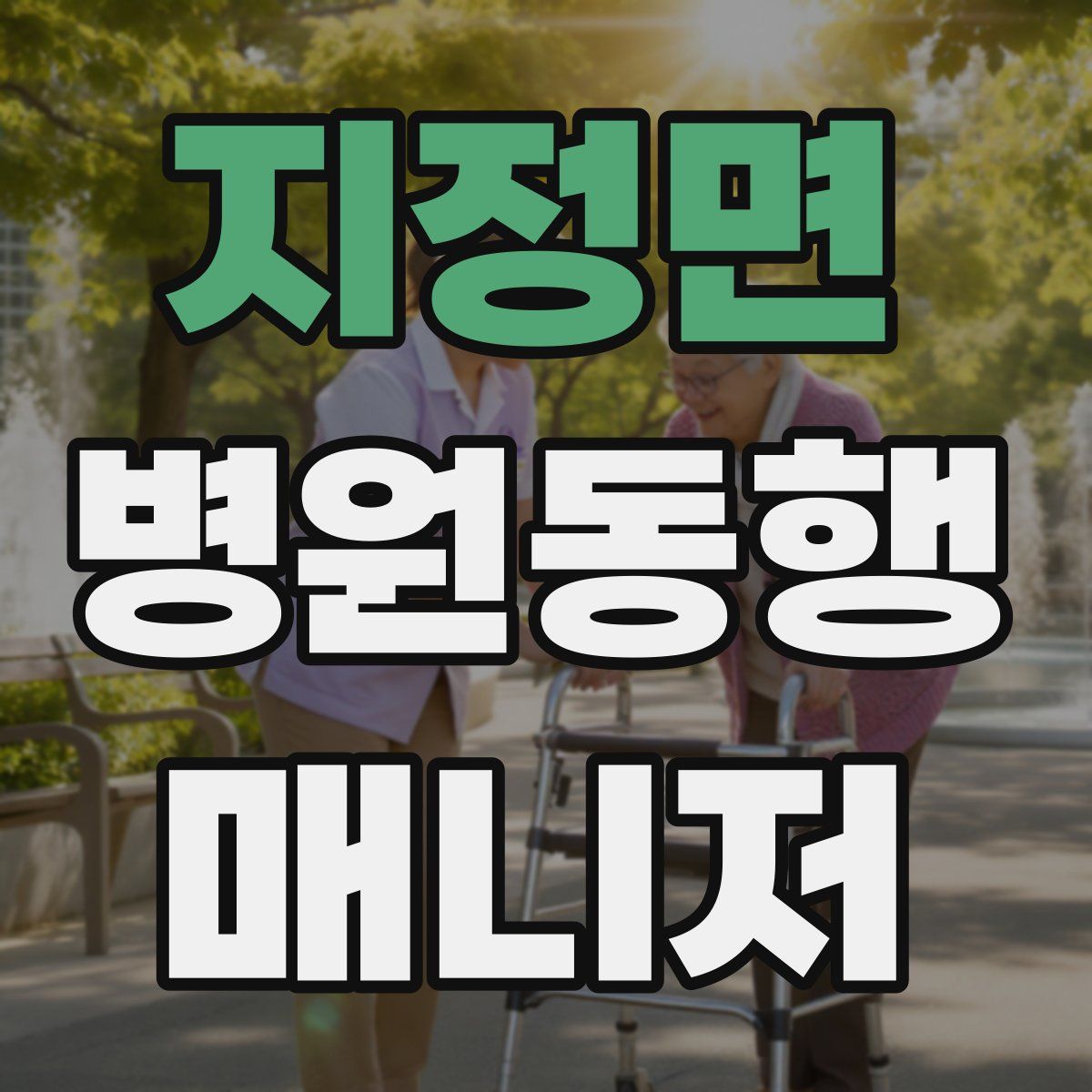 지정면 병원동행매니저 자격증