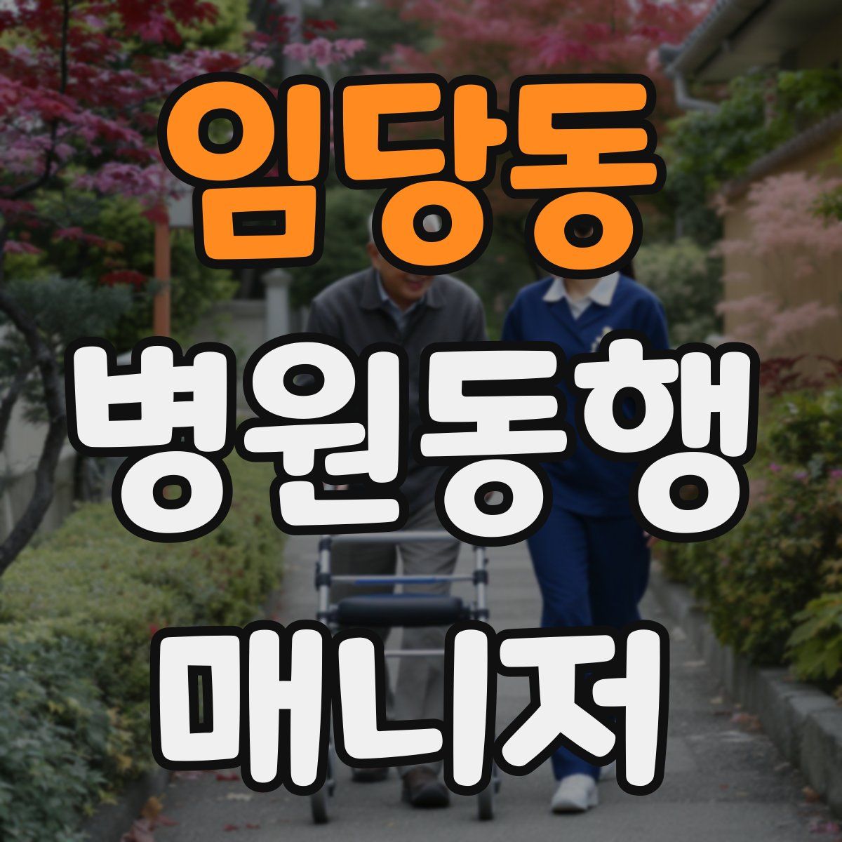 임당동 병원동행매니저 자격증