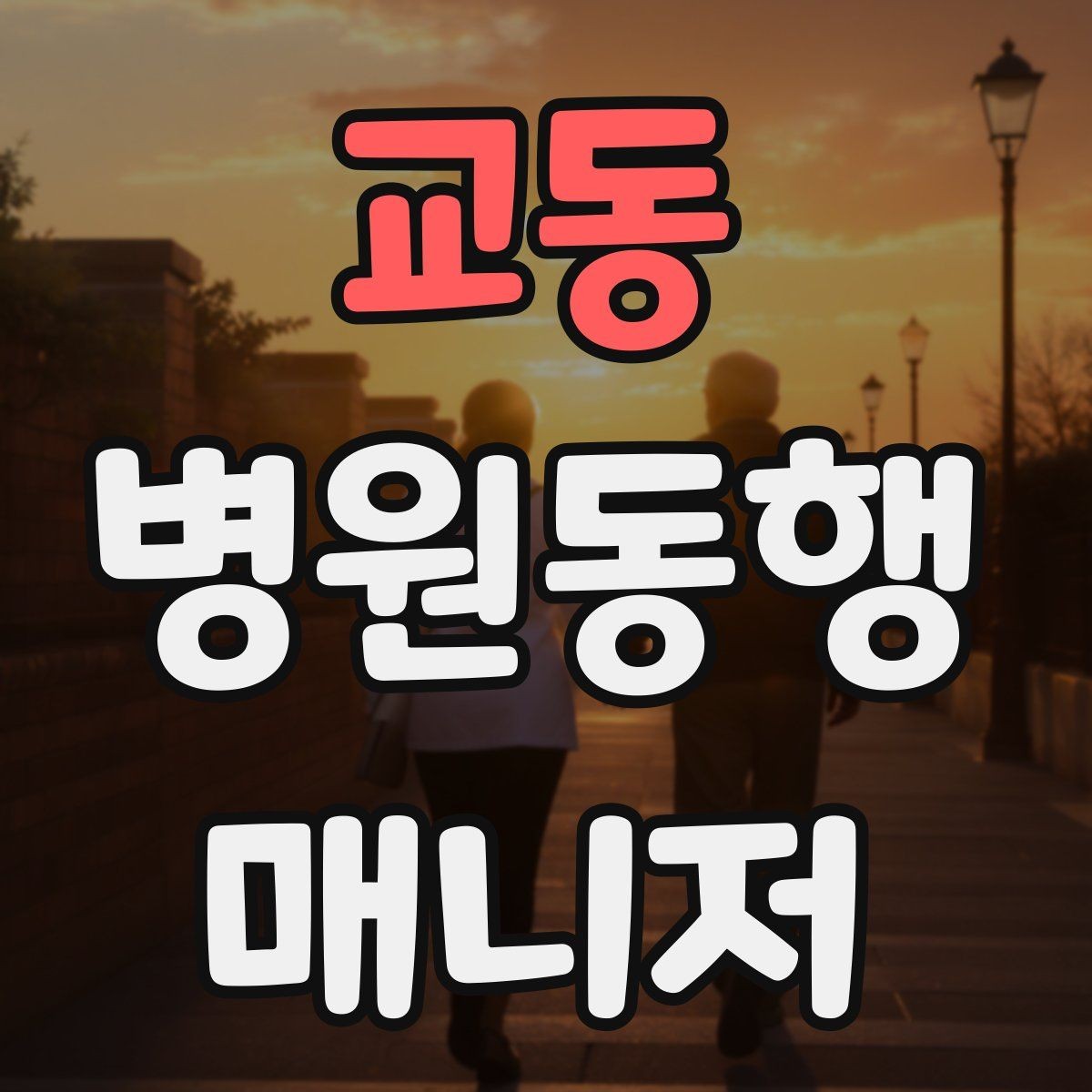 교동 병원동행매니저 자격증 처방 약이 많을 때 확인해야 할 것