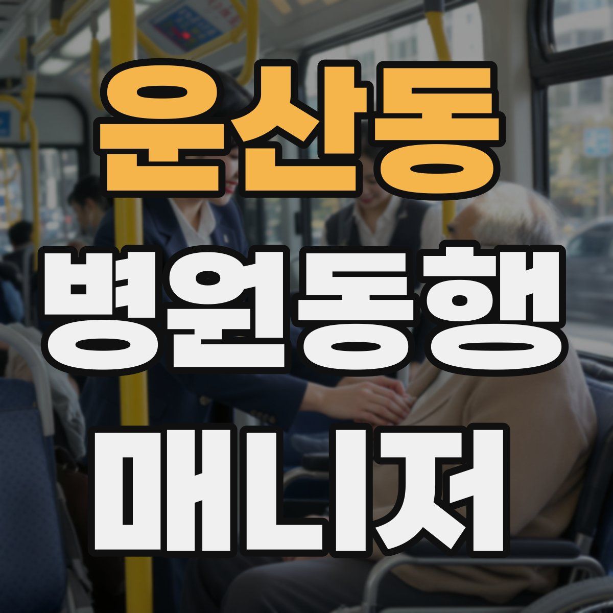 운산동 병원동행매니저 자격증