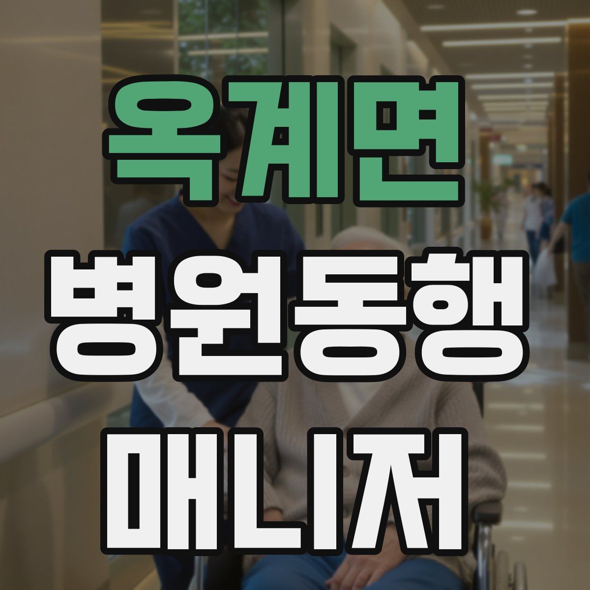 옥계면 병원동행매니저 자격증