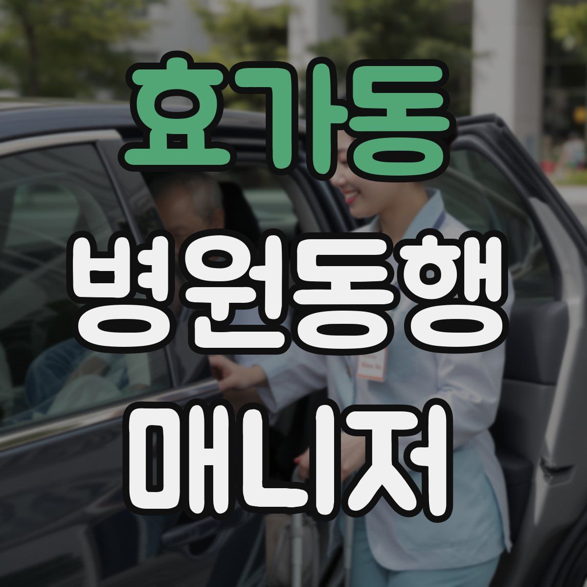 효가동 병원동행매니저 자격증