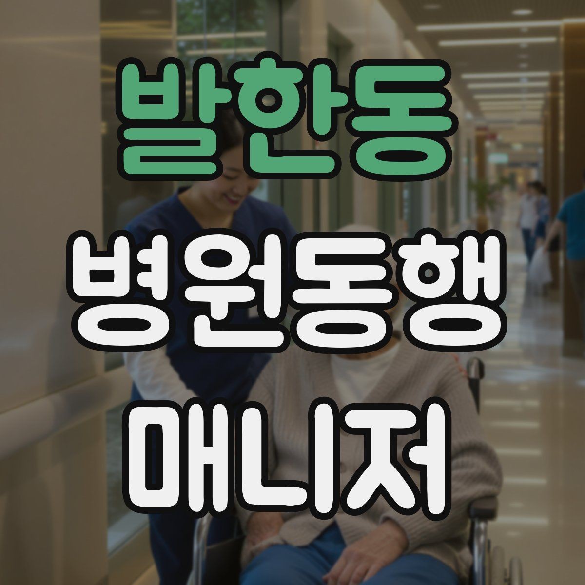 발한동 병원동행매니저 자격증 자격 취득을 고민하는 분께 현실 조언
