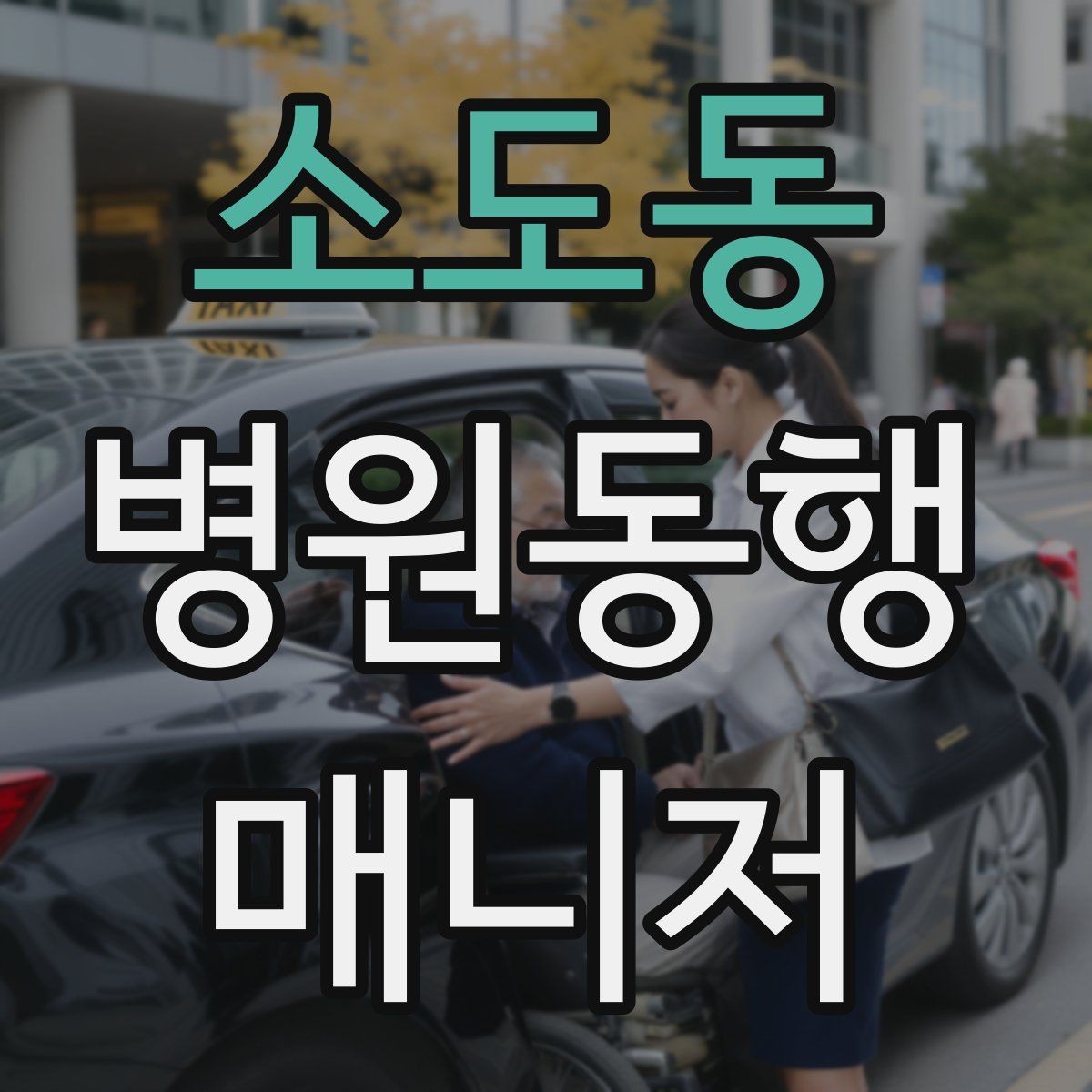 소도동 병원동행매니저 자격증 의료행위와 구분해야 하는 이유