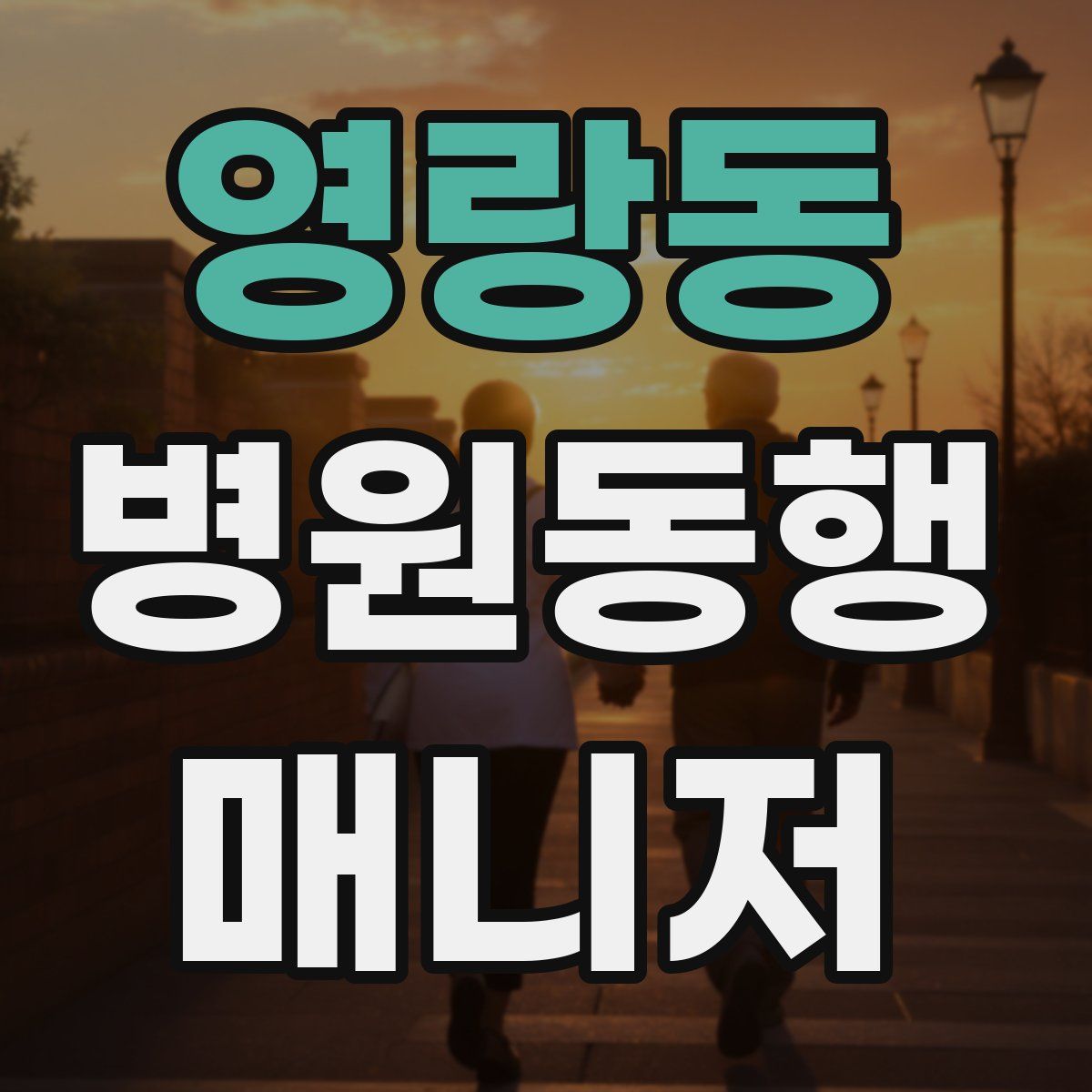 영랑동 병원동행매니저 자격증