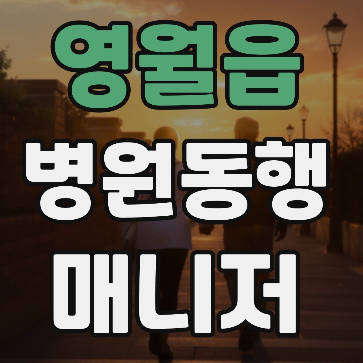영월읍 병원동행매니저 자격증 낙상 위험 줄이는 동행 자세