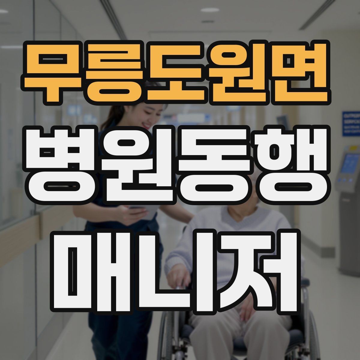 무릉도원면 병원동행매니저 자격증 동행 범위 합의가 중요한 이유