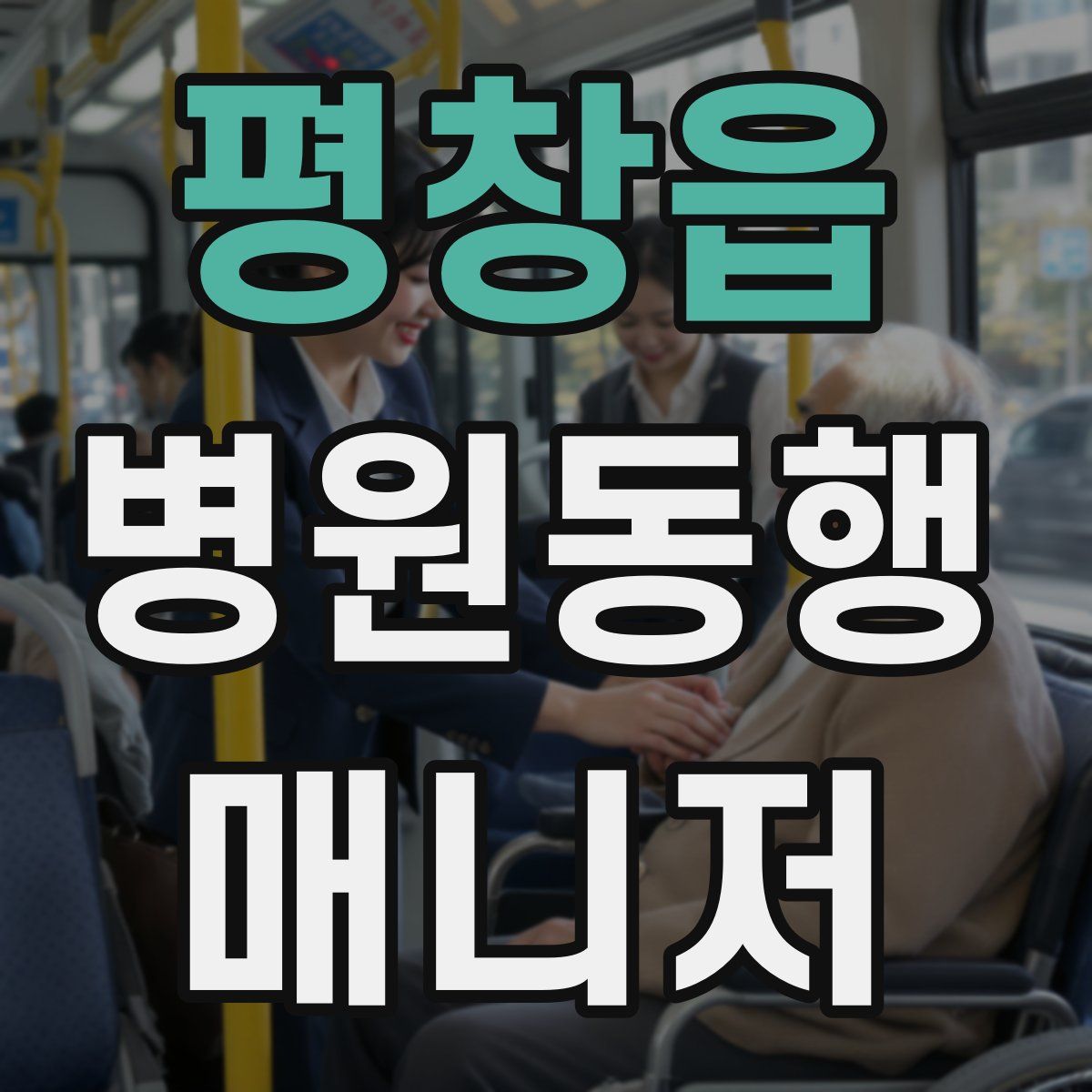 평창읍 병원동행매니저 자격증