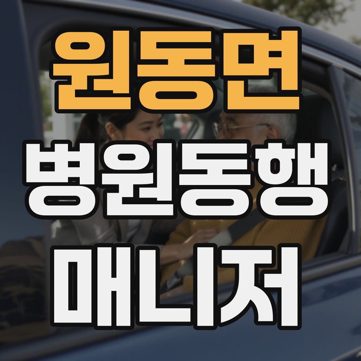 원동면 병원동행매니저 자격증