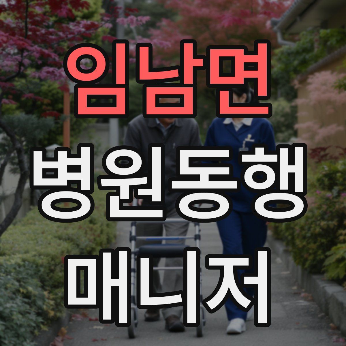 임남면 병원동행매니저 자격증