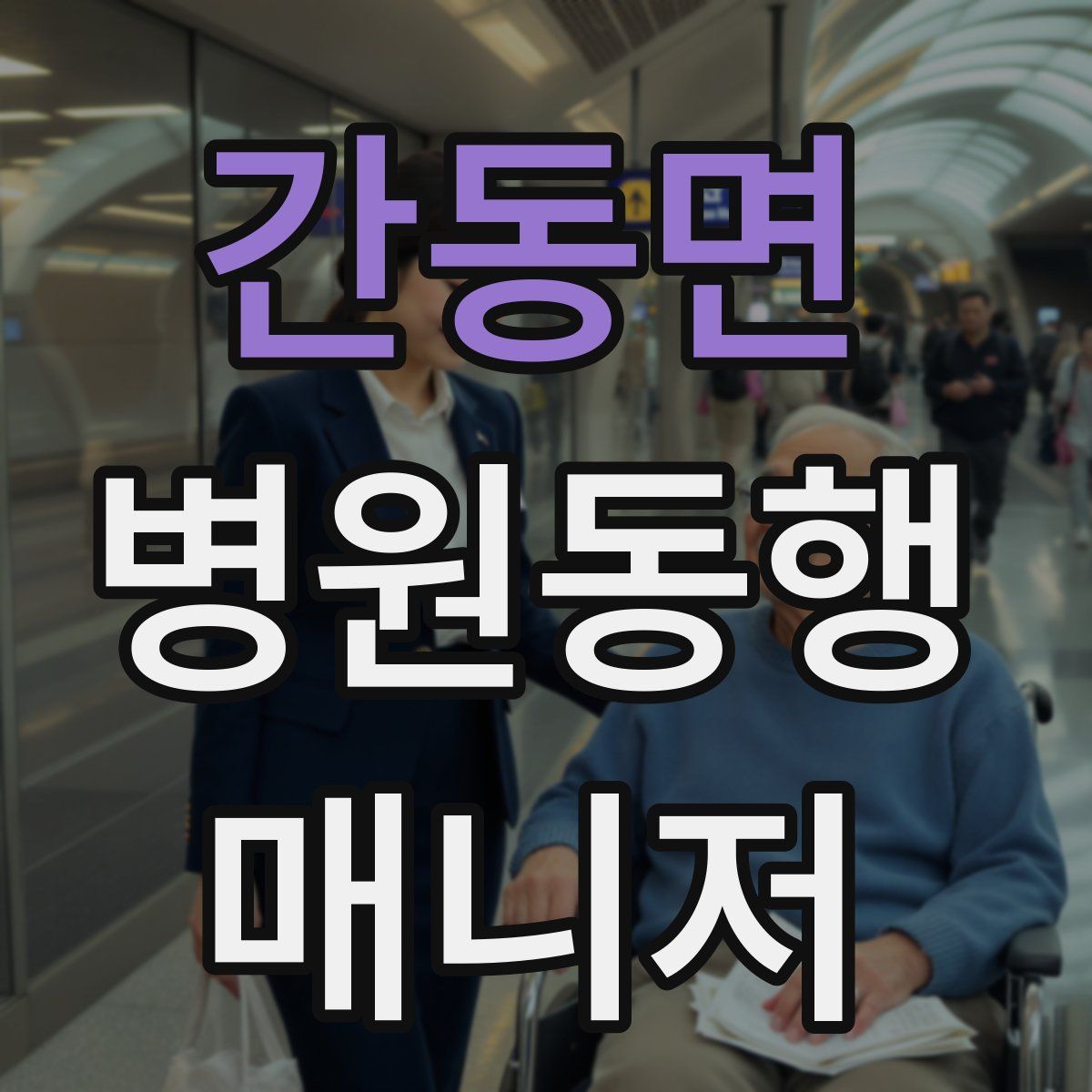 간동면 병원동행매니저 자격증