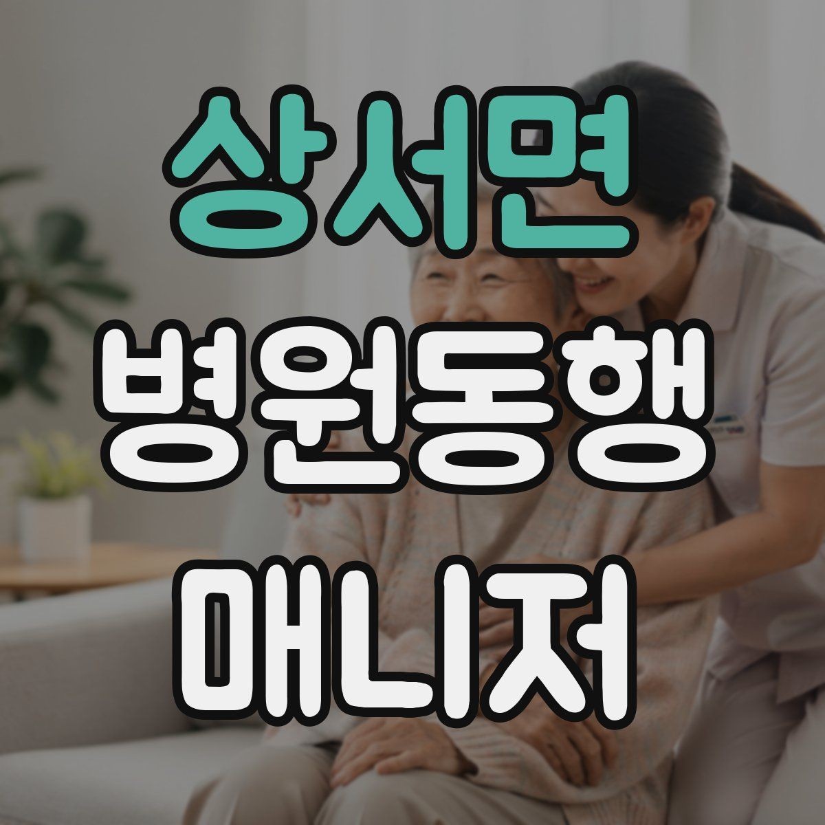 상서면 병원동행매니저 자격증 일정 확정 전 확인 질문 리스트