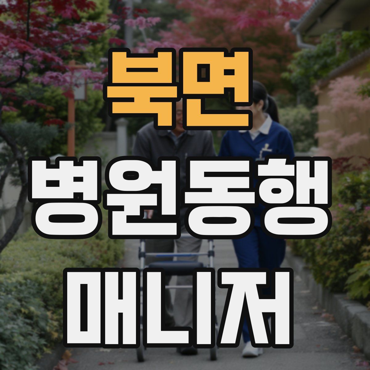 북면 병원동행매니저 자격증