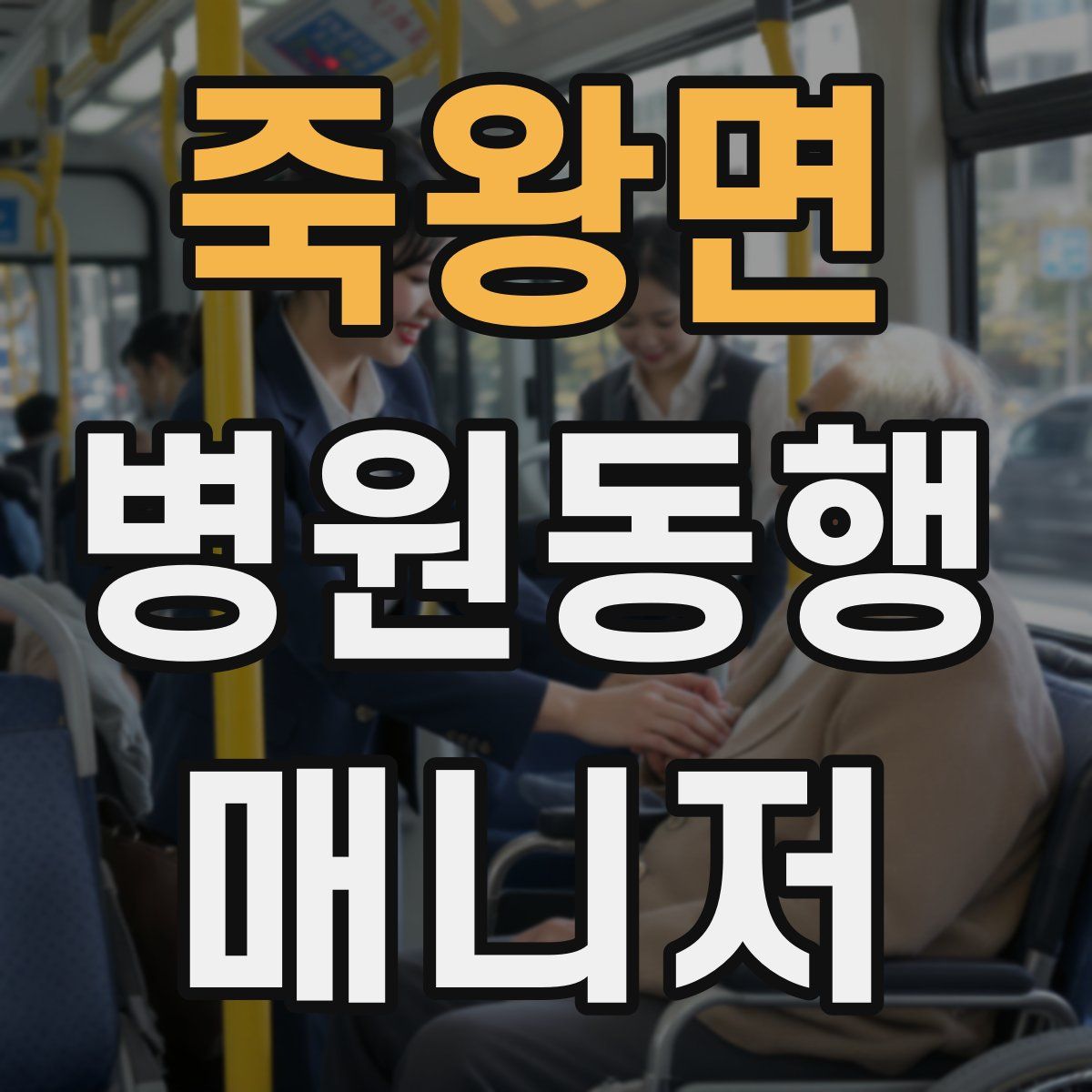 죽왕면 병원동행매니저 자격증