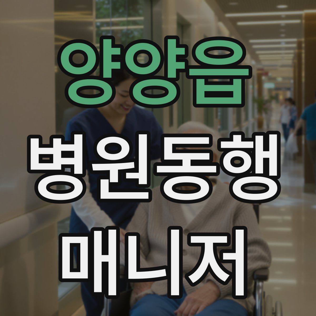 양양읍 병원동행매니저 자격증 검사 일정이 연속일 때 시간 관리