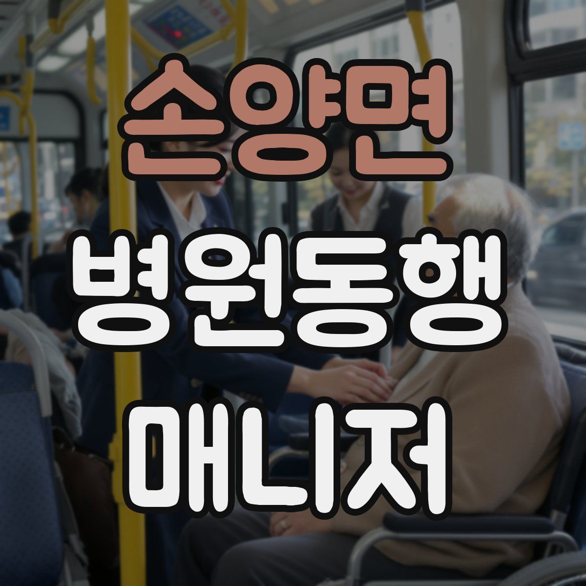 손양면 병원동행매니저 자격증