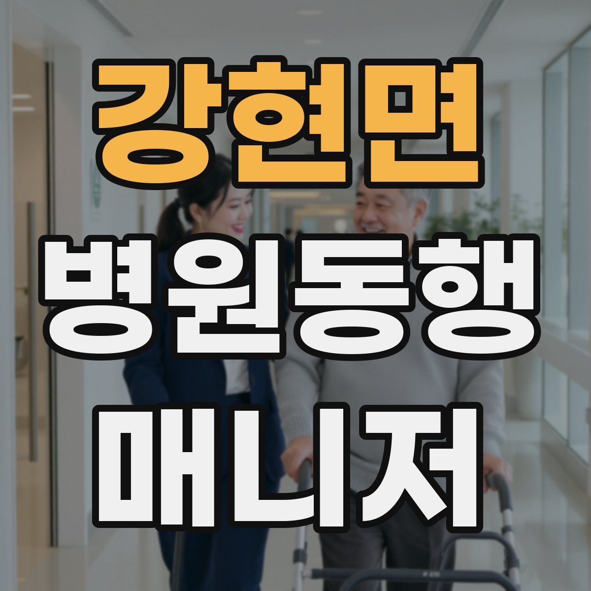 강현면 병원동행매니저 자격증