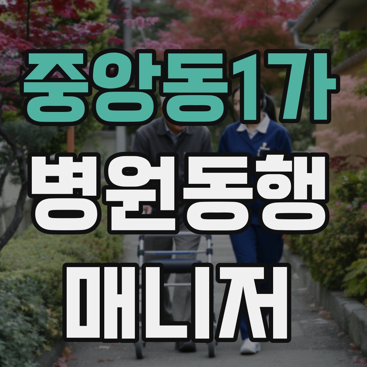 중앙동1가 병원동행매니저 자격증