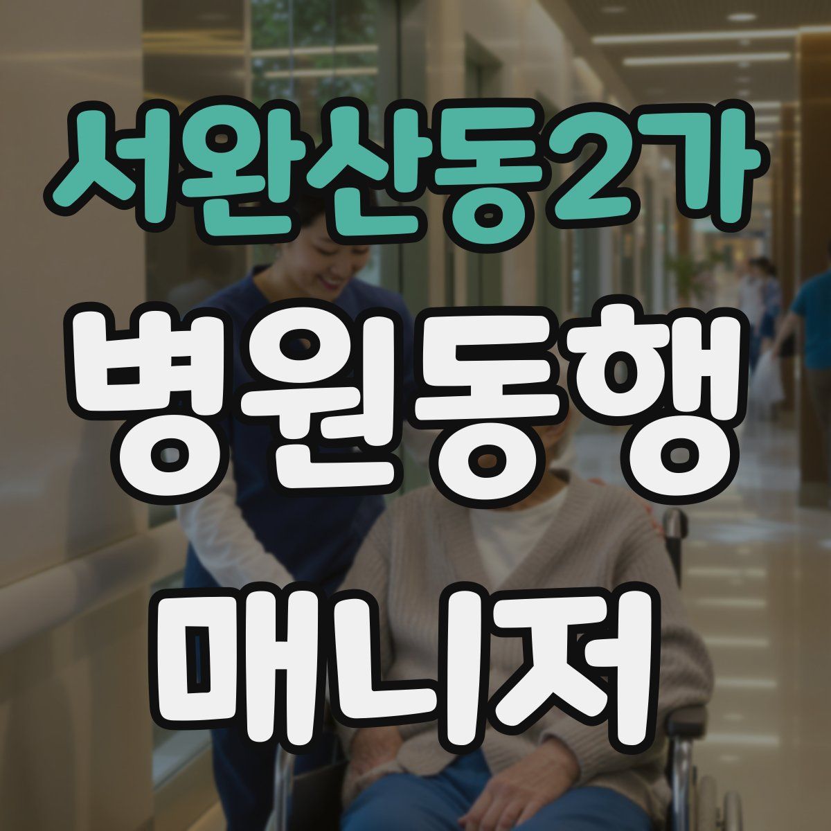 서완산동2가 병원동행매니저 자격증