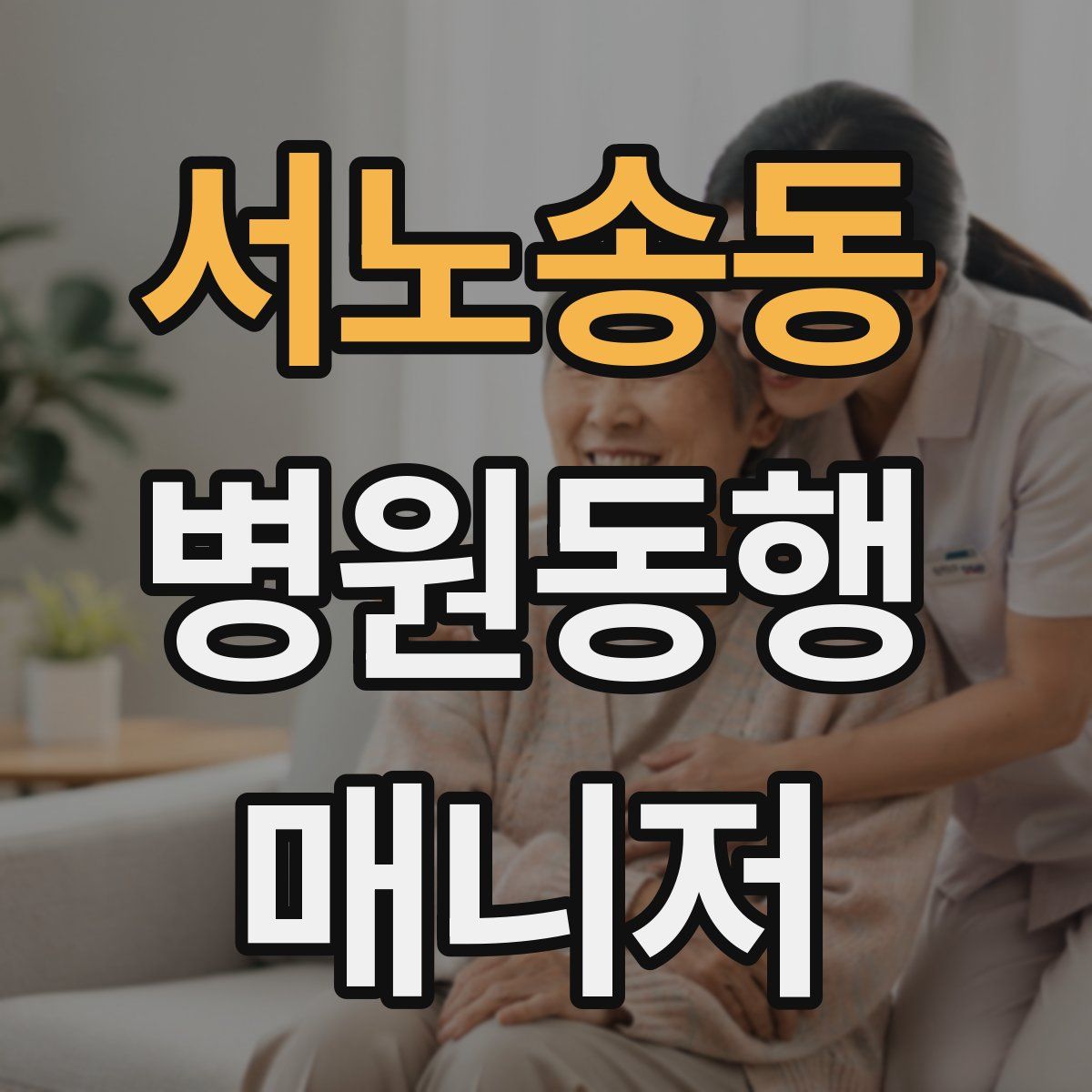 서노송동 병원동행매니저 자격증
