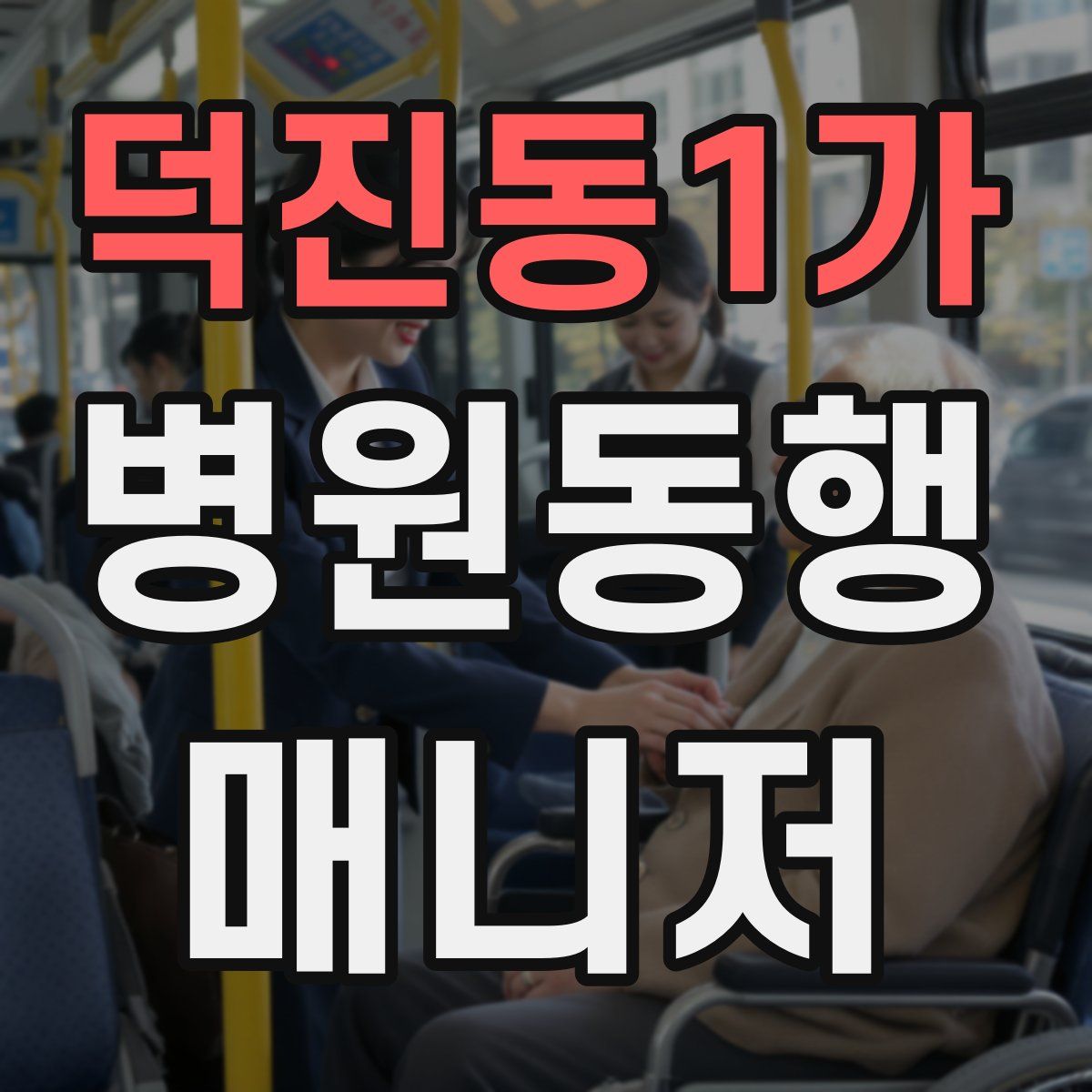 덕진동1가 병원동행매니저 자격증