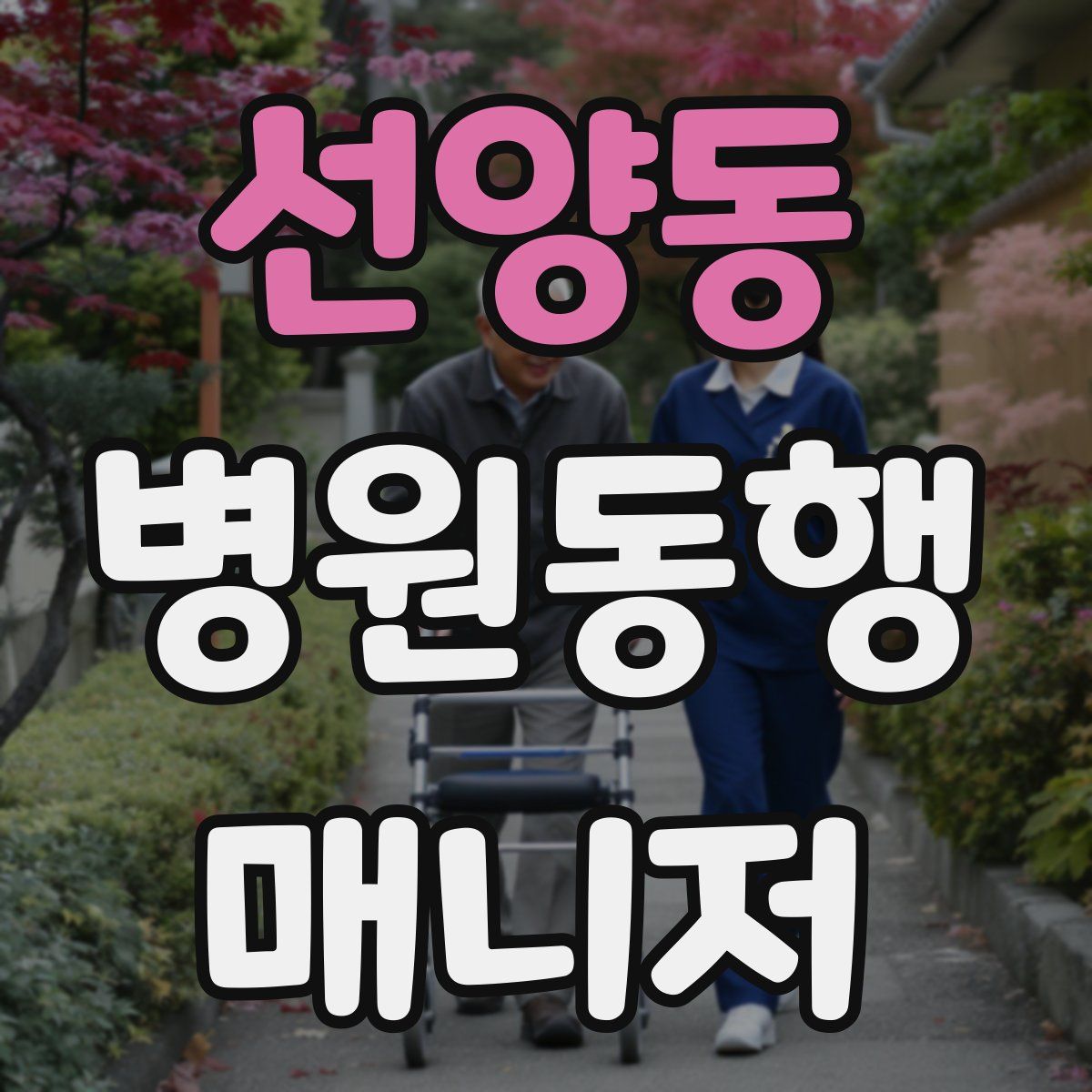 선양동 병원동행매니저 자격증