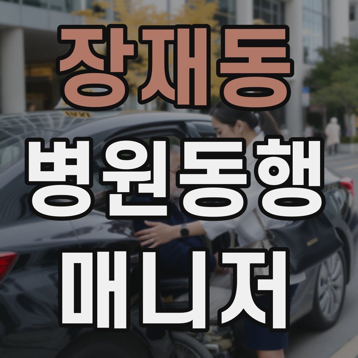 장재동 병원동행매니저 자격증 처방전 확인 포인트만 간단히 정리