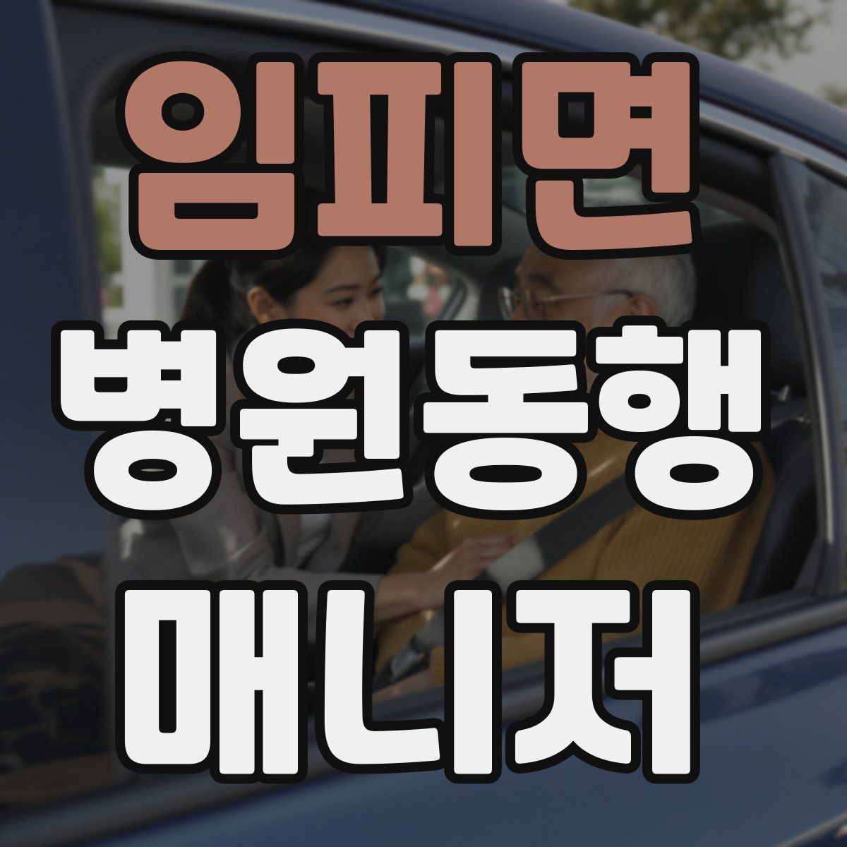임피면 병원동행매니저 자격증