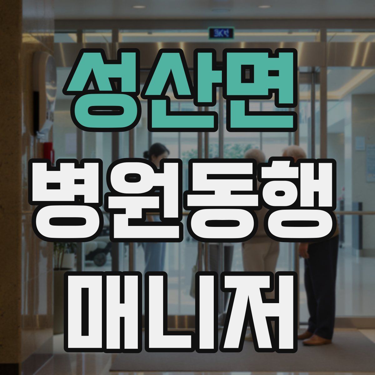 성산면 병원동행매니저 자격증